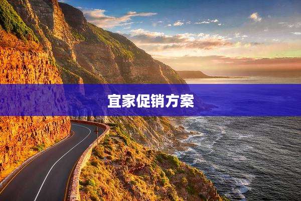 宜家促销方案