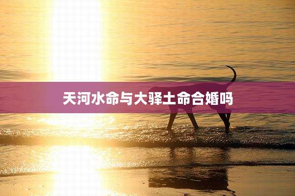 天河水命与大驿土命合婚吗