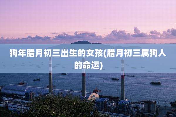 狗年腊月初三出生的女孩(腊月初三属狗人的命运)