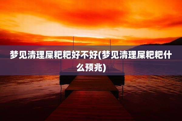 梦见清理屎粑粑好不好(梦见清理屎粑粑什么预兆)