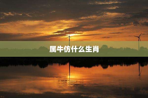 属牛仿什么生肖