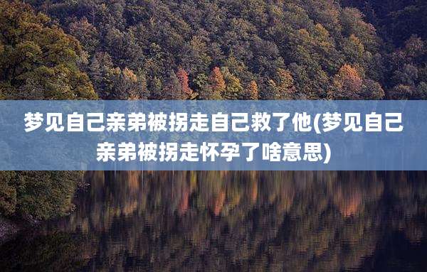 梦见自己亲弟被拐走自己救了他(梦见自己亲弟被拐走怀孕了啥意思)