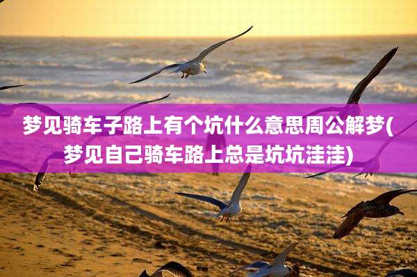 梦见骑车子路上有个坑什么意思周公解梦(梦见自己骑车路上总是坑坑洼洼)