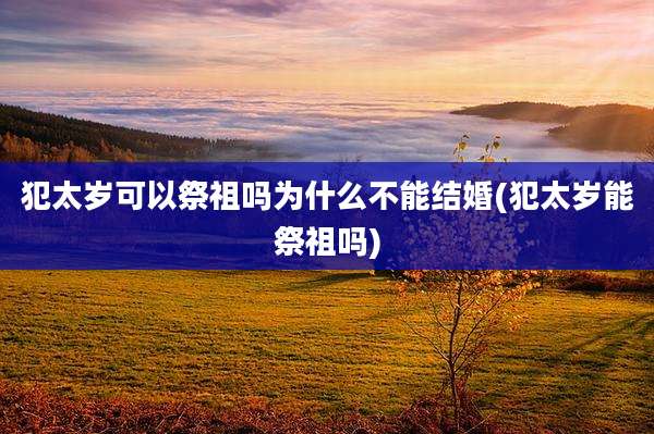 犯太岁可以祭祖吗为什么不能结婚(犯太岁能祭祖吗)