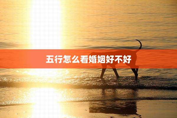 五行怎么看婚姻好不好