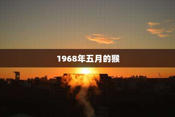 1968年五月的猴