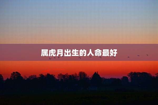 属虎月出生的人命最好