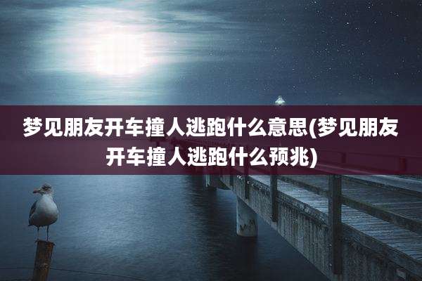 梦见朋友开车撞人逃跑什么意思(梦见朋友开车撞人逃跑什么预兆)