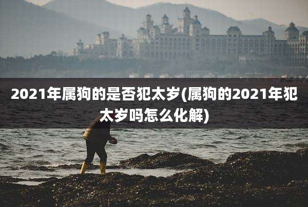 2021年属狗的是否犯太岁(属狗的2021年犯太岁吗怎么化解)