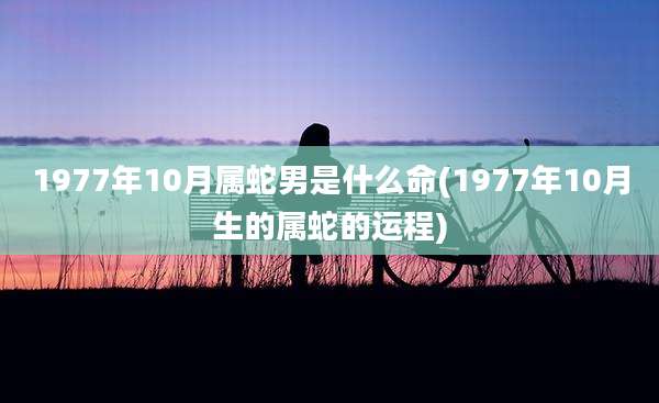 1977年10月属蛇男是什么命(1977年10月生的属蛇的运程)