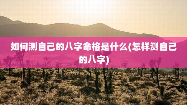 如何测自己的八字命格是什么(怎样测自己的八字)