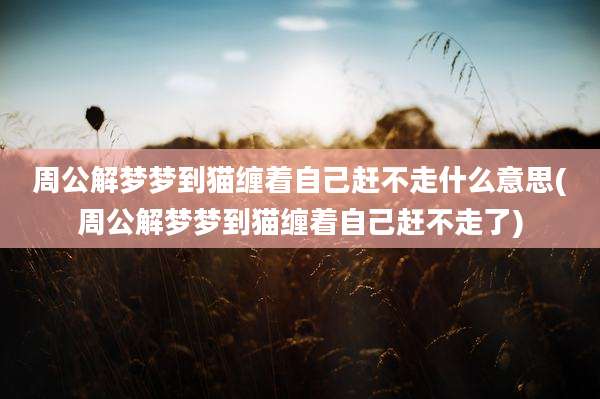 周公解梦梦到猫缠着自己赶不走什么意思(周公解梦梦到猫缠着自己赶不走了)