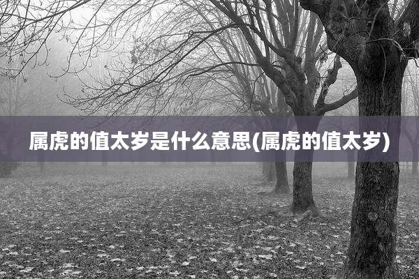 属虎的值太岁是什么意思(属虎的值太岁)