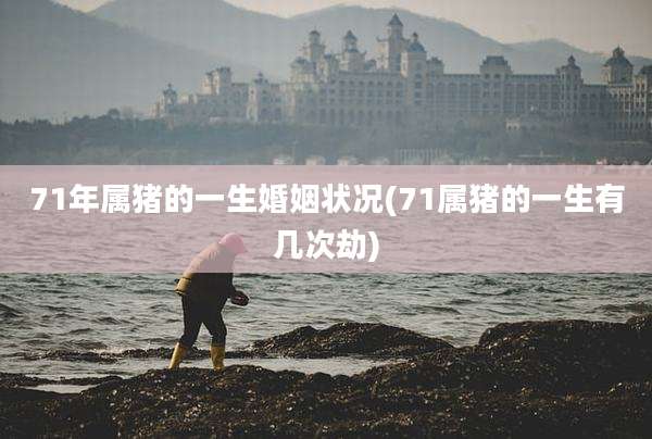 71年属猪的一生婚姻状况(71属猪的一生有几次劫)