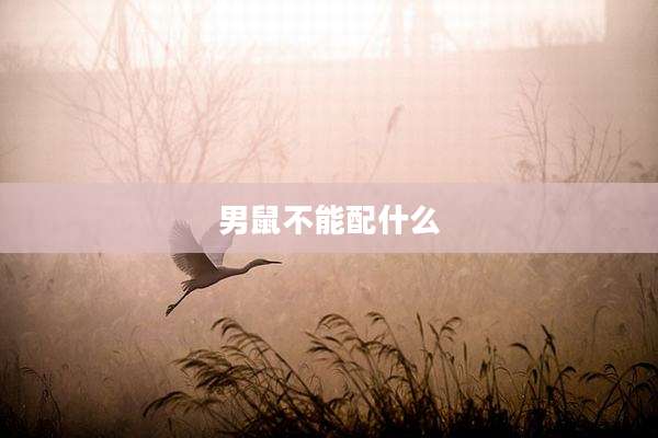 男鼠不能配什么