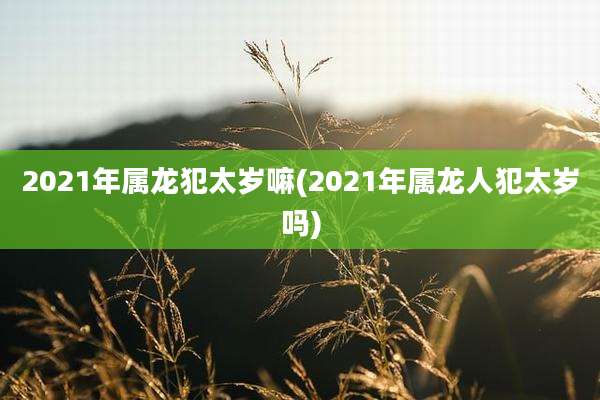 2021年属龙犯太岁嘛(2021年属龙人犯太岁吗)