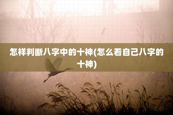怎样判断八字中的十神(怎么看自己八字的十神)