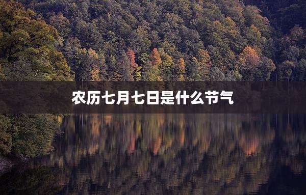 农历七月七日是什么节气
