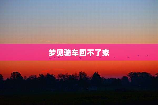 梦见骑车回不了家