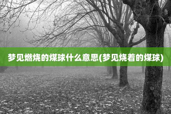 梦见燃烧的煤球什么意思(梦见烧着的煤球)