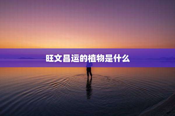旺文昌运的植物是什么