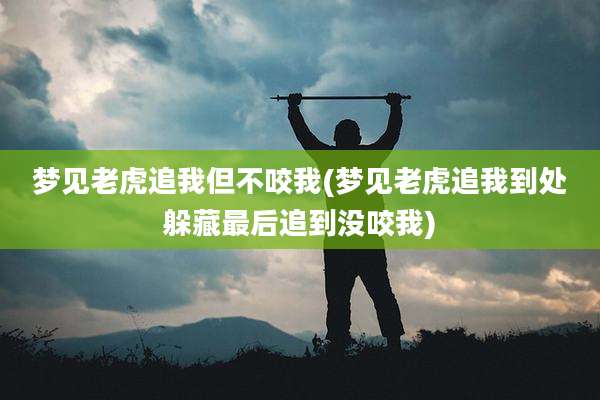 梦见老虎追我但不咬我(梦见老虎追我到处躲藏最后追到没咬我)