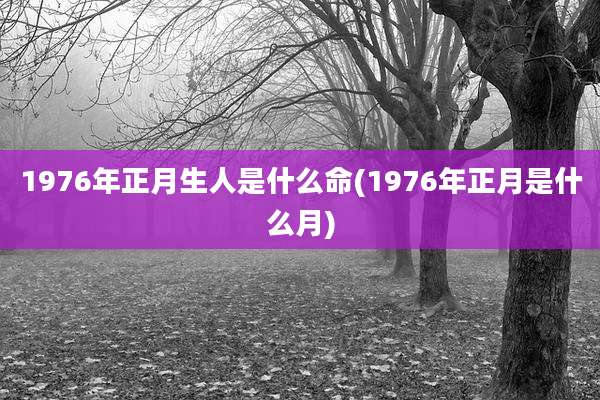 1976年正月生人是什么命(1976年正月是什么月)