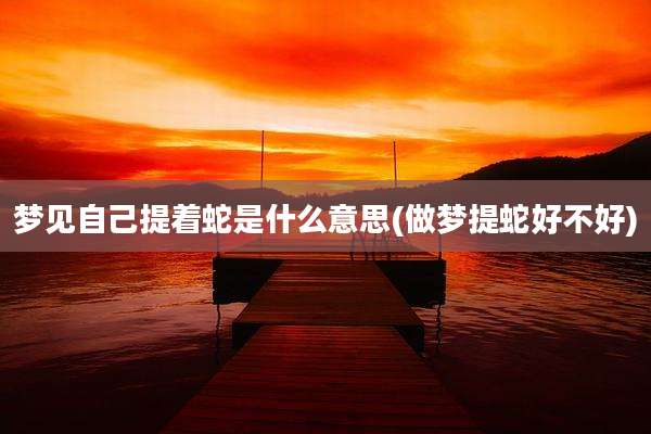 梦见自己提着蛇是什么意思(做梦提蛇好不好)