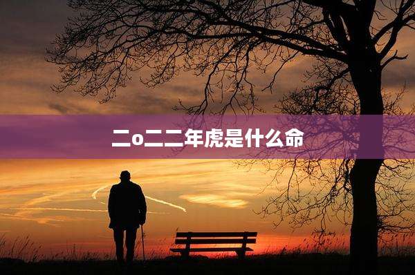 二o二二年虎是什么命