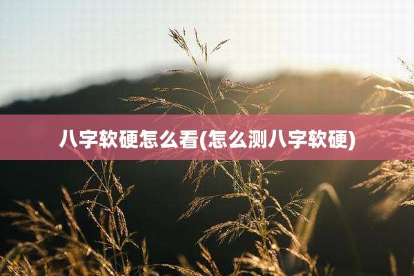 八字软硬怎么看(怎么测八字软硬)