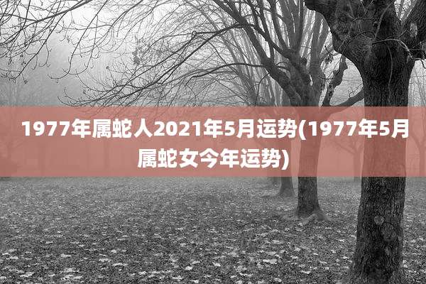1977年属蛇人2021年5月运势(1977年5月属蛇女今年运势)