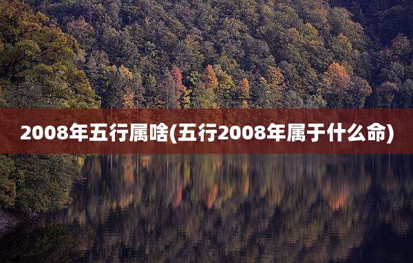 2008年五行属啥(五行2008年属于什么命)