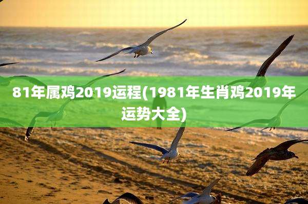 81年属鸡2019运程(1981年生肖鸡2019年运势大全)