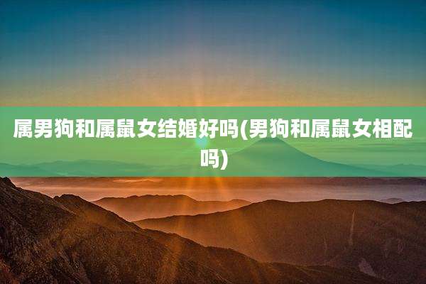 属男狗和属鼠女结婚好吗(男狗和属鼠女相配吗)