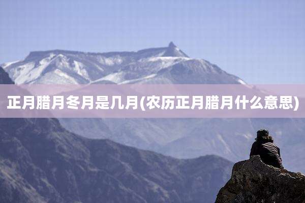 正月腊月冬月是几月(农历正月腊月什么意思)