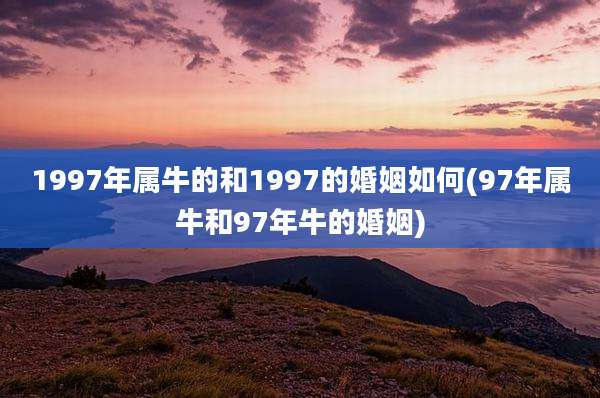 1997年属牛的和1997的婚姻如何(97年属牛和97年牛的婚姻)