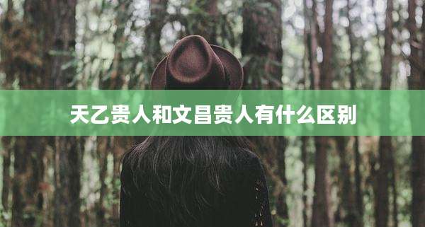 天乙贵人和文昌贵人有什么区别