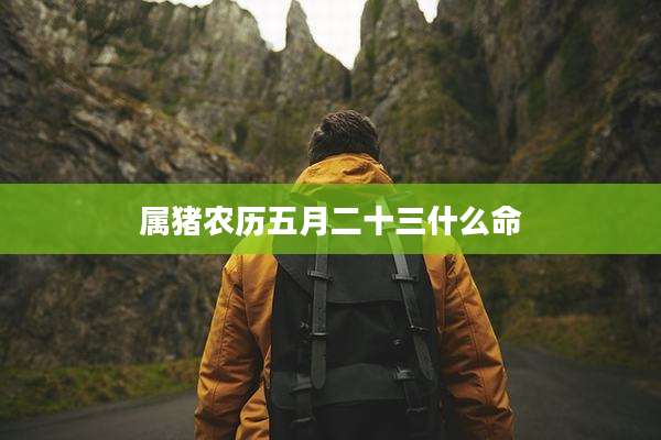 属猪农历五月二十三什么命