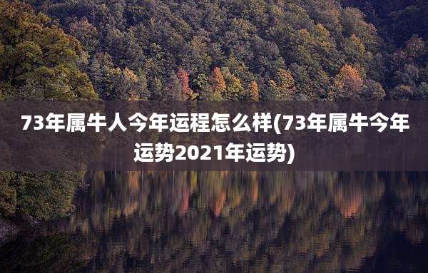 73年属牛人今年运程怎么样(73年属牛今年运势2021年运势)