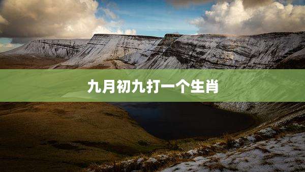 九月初九打一个生肖