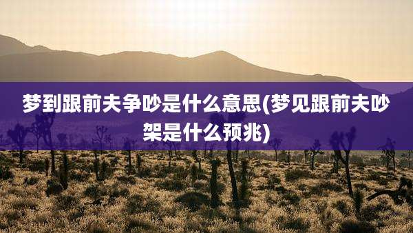 梦到跟前夫争吵是什么意思(梦见跟前夫吵架是什么预兆)