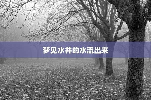 梦见水井的水流出来