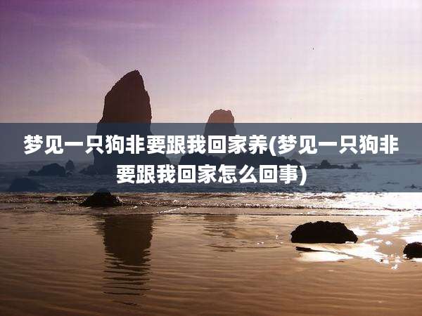 梦见一只狗非要跟我回家养(梦见一只狗非要跟我回家怎么回事)