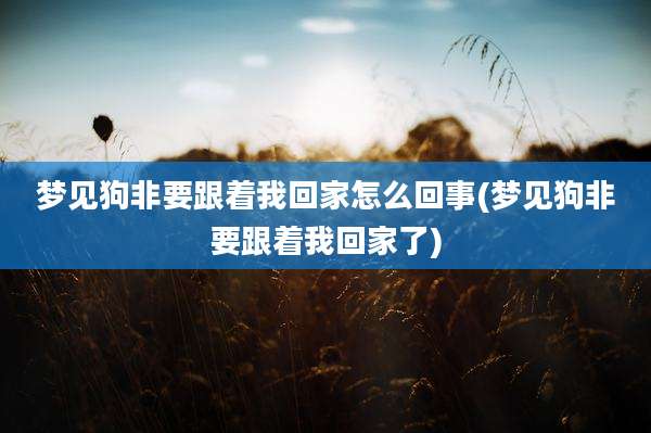 梦见狗非要跟着我回家怎么回事(梦见狗非要跟着我回家了)