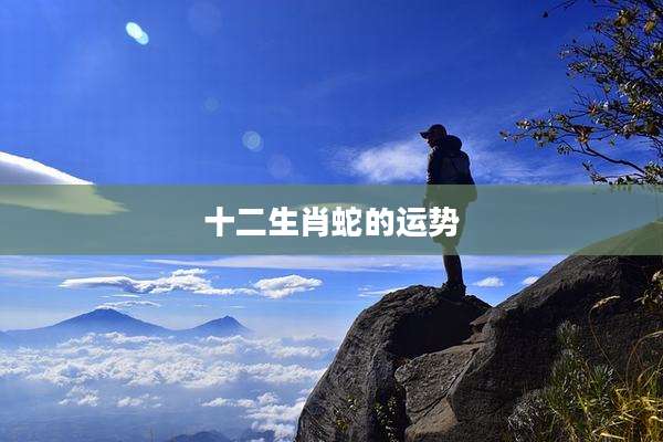 十二生肖蛇的运势