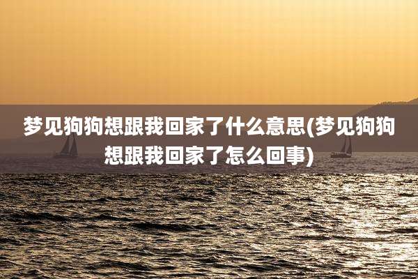 梦见狗狗想跟我回家了什么意思(梦见狗狗想跟我回家了怎么回事)
