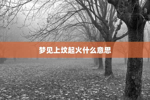 梦见上坟起火什么意思