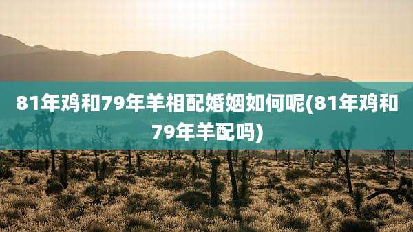 81年鸡和79年羊相配婚姻如何呢(81年鸡和79年羊配吗)