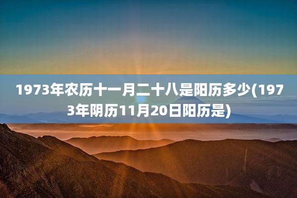 1973年农历十一月二十八是阳历多少(1973年阴历11月20日阳历是)