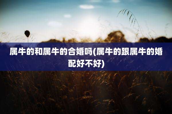 属牛的和属牛的合婚吗(属牛的跟属牛的婚配好不好)